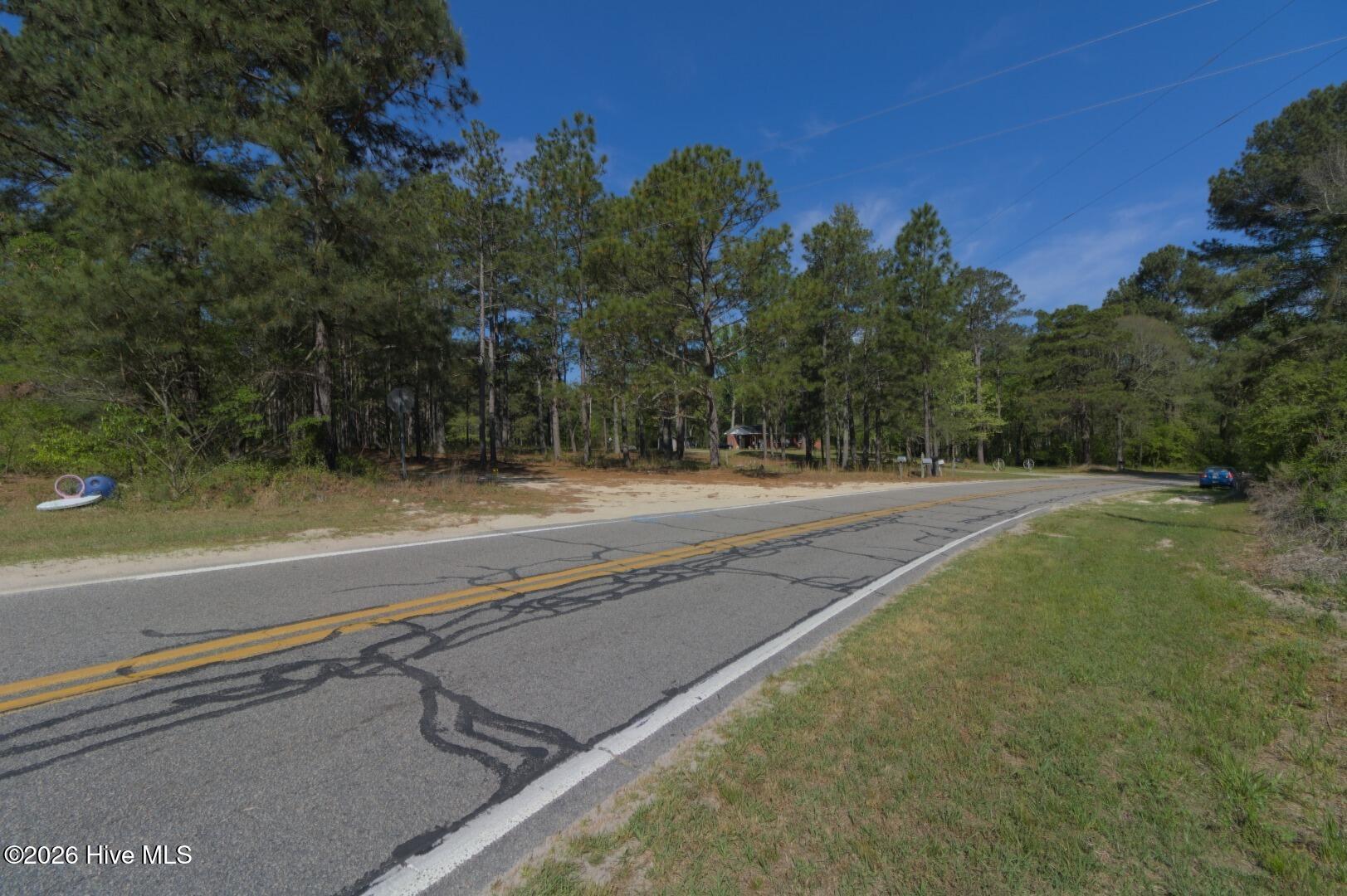 0 Sr 1226 Road Aberdeen, NC 28315 - Photo 19 of 43 Ground Site 3 Strother N Face across