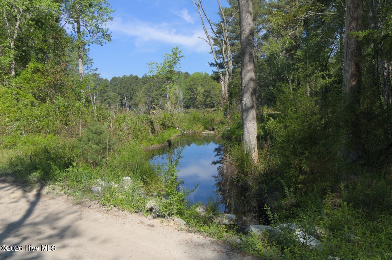 0 Sr 1226 Road Aberdeen, NC 28315 - Photo 25 of 43 Ground Site 9 Pond from Kearns Alt 1