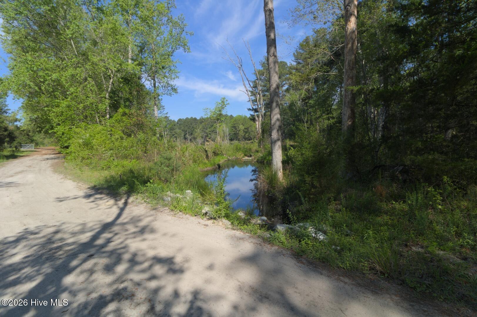 0 Sr 1226 Road Aberdeen, NC 28315 - Photo 26 of 43 Ground Site 9 Pond from Kearns alt