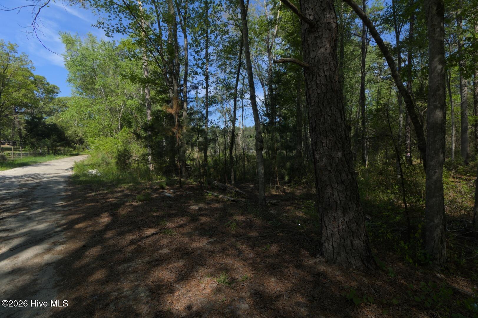 0 Sr 1226 Road Aberdeen, NC 28315 - Photo 27 of 43 Ground Site 9 Pond from Kearns