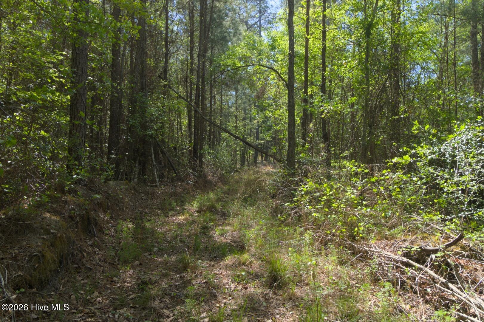 0 Sr 1226 Road Aberdeen, NC 28315 - Photo 31 of 43 Ground Site 11 Access Turn East
