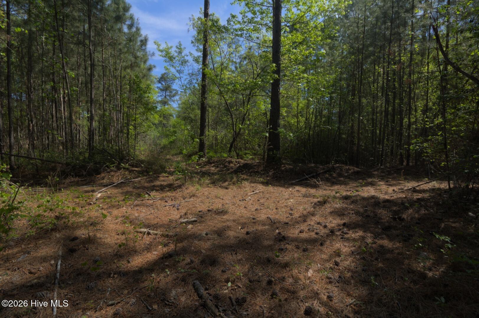 0 Sr 1226 Road Aberdeen, NC 28315 - Photo 32 of 43 Ground Site 12 Trail Intersection N Faci
