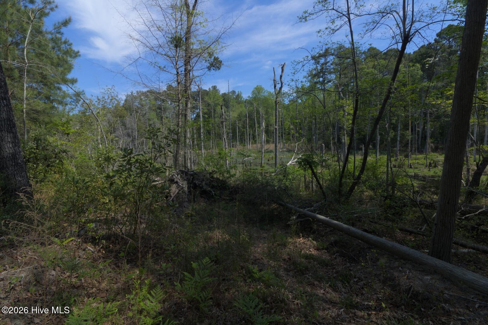 0 Sr 1226 Road Aberdeen, NC 28315 - Photo 33 of 43 Ground Site 13 North Trail End
