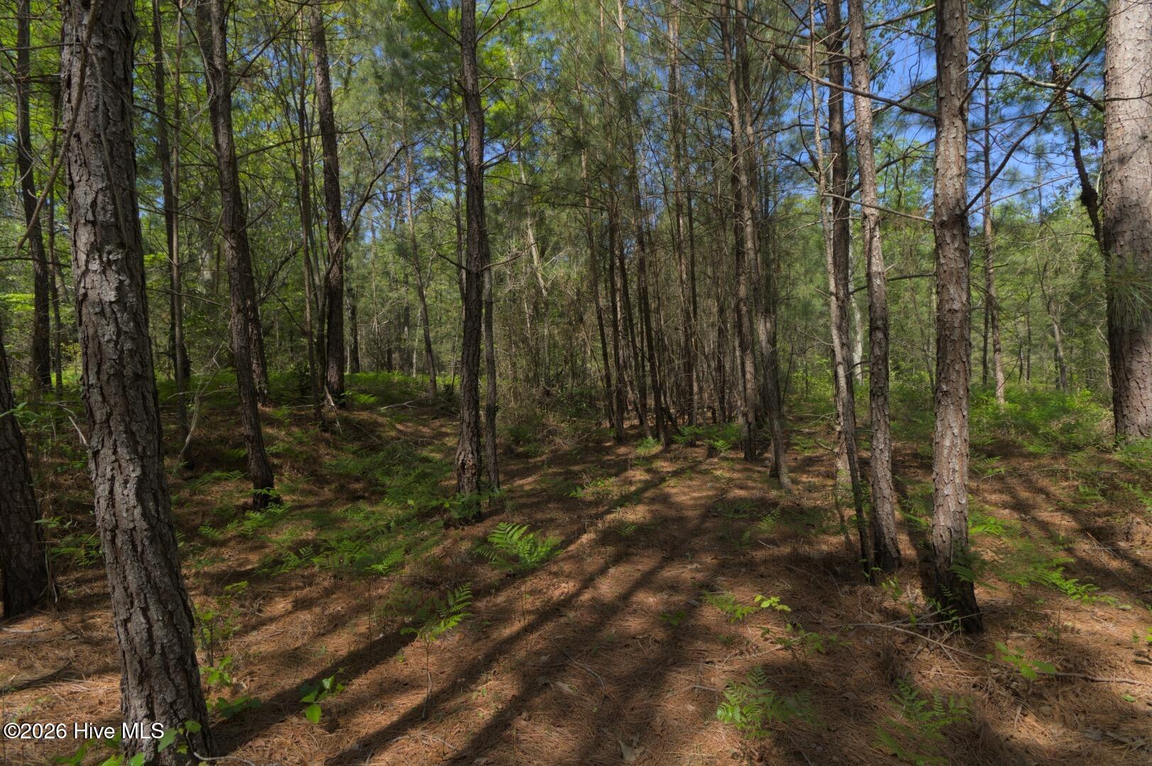 0 Sr 1226 Road Aberdeen, NC 28315 - Photo 35 of 43 Ground Site 14 W Trail End