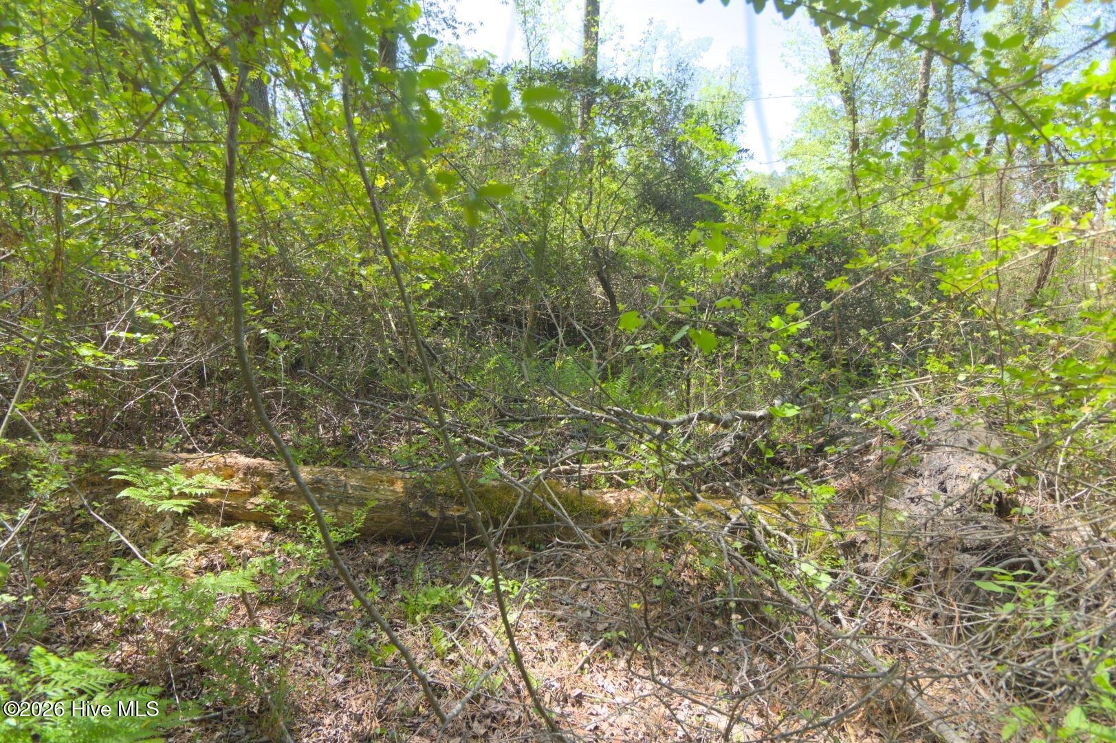 0 Sr 1226 Road Aberdeen, NC 28315 - Photo 39 of 43 Ground Site 18 Rugged Terrain Context