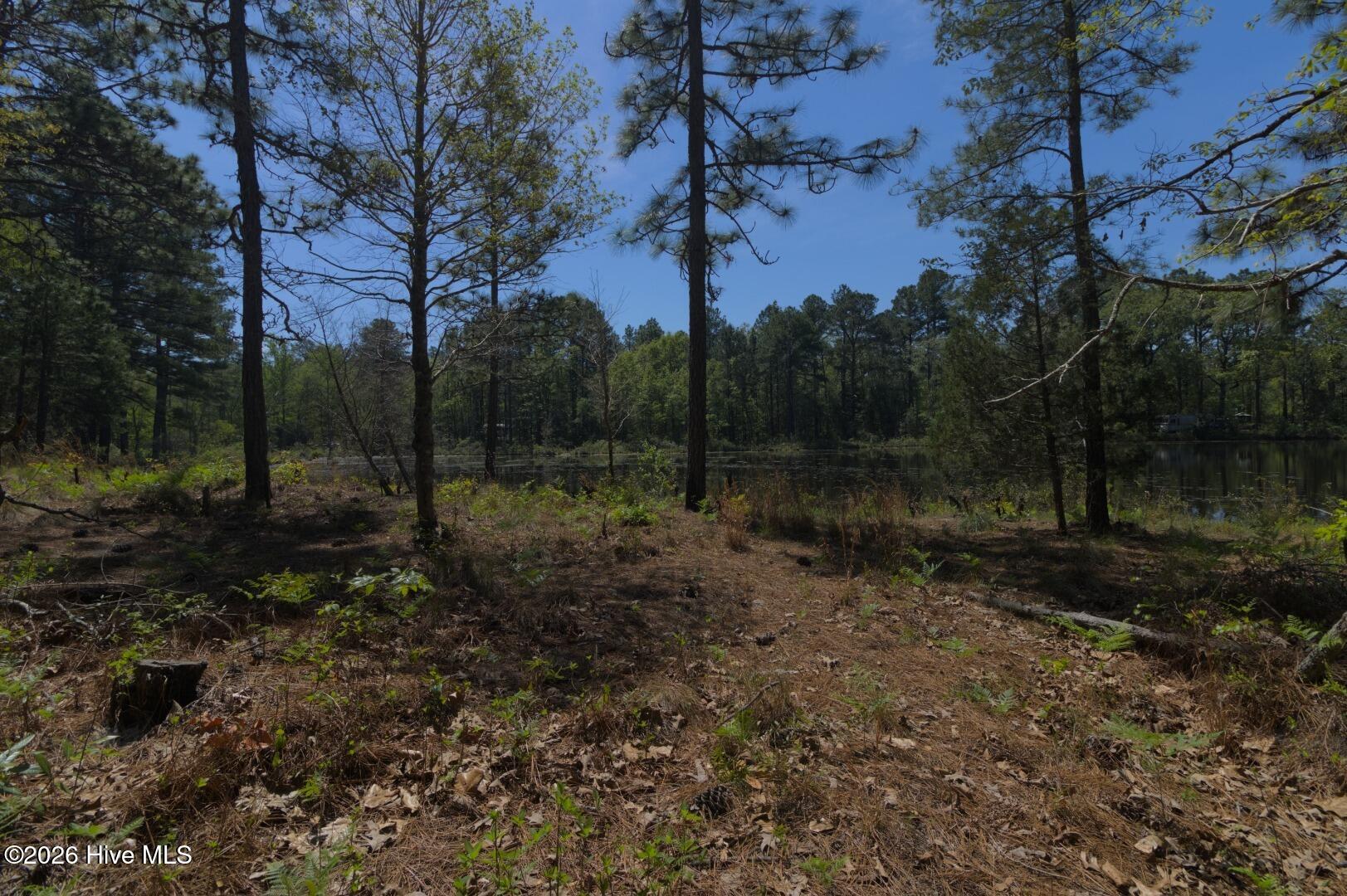 0 Sr 1226 Road Aberdeen, NC 28315 - Photo 40 of 43 Ground Site 19 Rugged Border and Pond