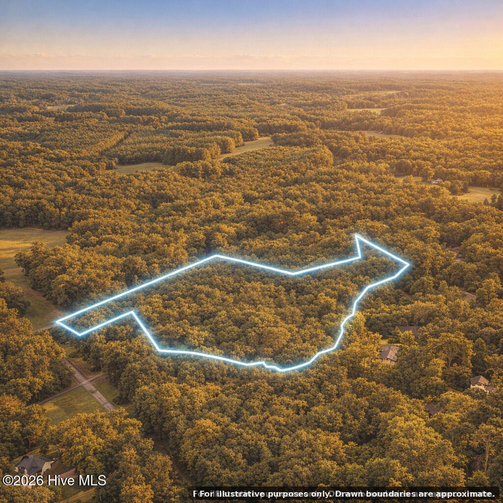 0 Sr 1226 Road Aberdeen, NC 28315 - Photo 8 of 9 golden-216