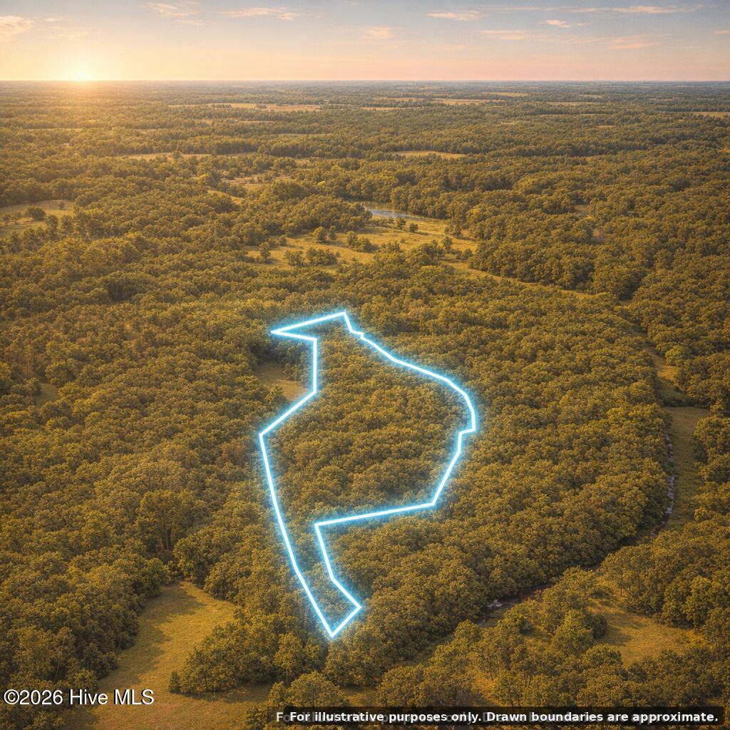 0 Sr 1226 Road Aberdeen, NC 28315 - Photo 9 of 9 golden-288