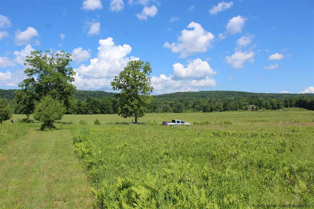 Tbd Tbd Whitelands Road, Unit 2 PARCELS Stone Ridge, NY 12484 - Photo 3 of 5 Photo 3