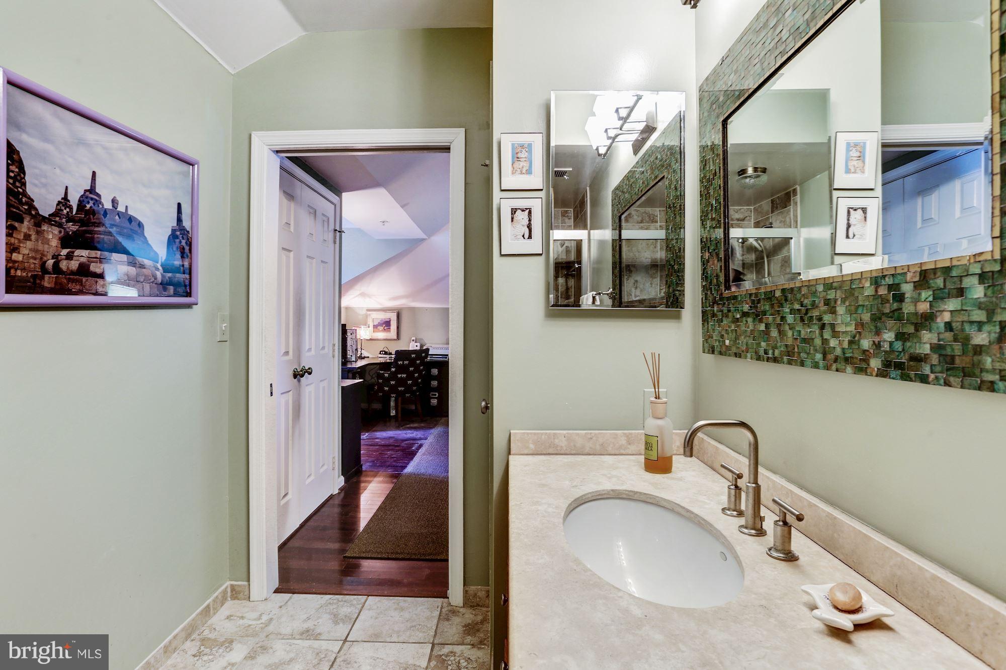 545 East Braddock Road, Unit 702 Alexandria, VA 22314 - Photo 14 of 27 Master bath #1