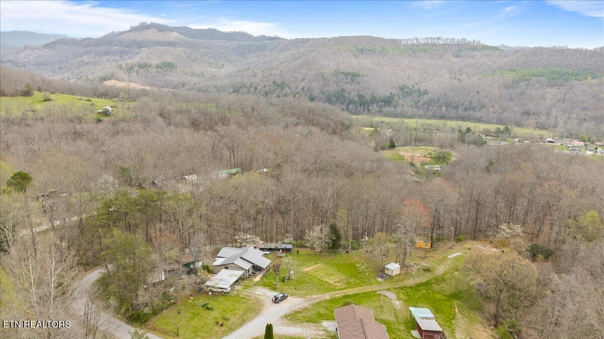 439 Rogerston Road Clairfield, TN 37715 - Photo 14 of 51 49-439 Rogerston Rd