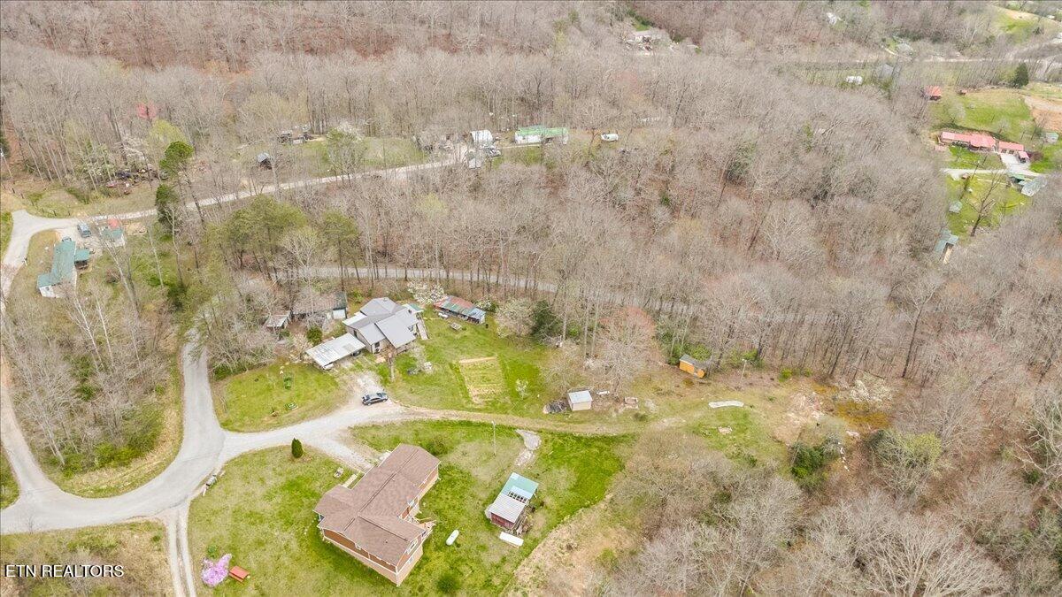439 Rogerston Road Clairfield, TN 37715 - Photo 15 of 51 50-439 Rogerston Rd