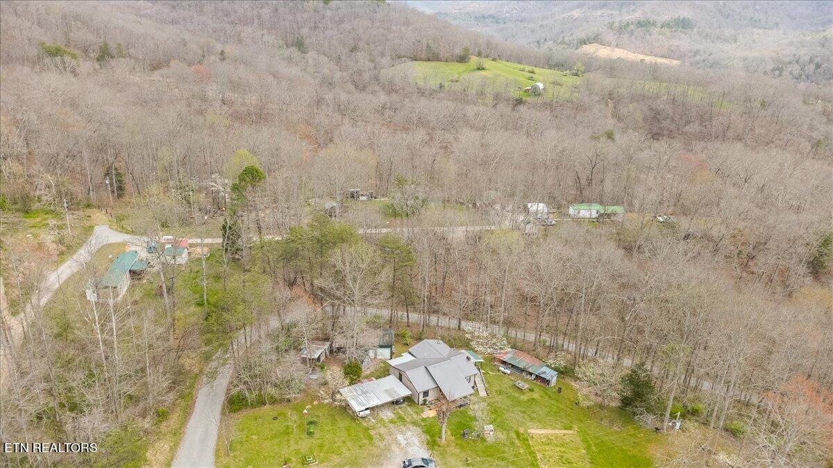 439 Rogerston Road Clairfield, TN 37715 - Photo 16 of 51 51-439 Rogerston Rd