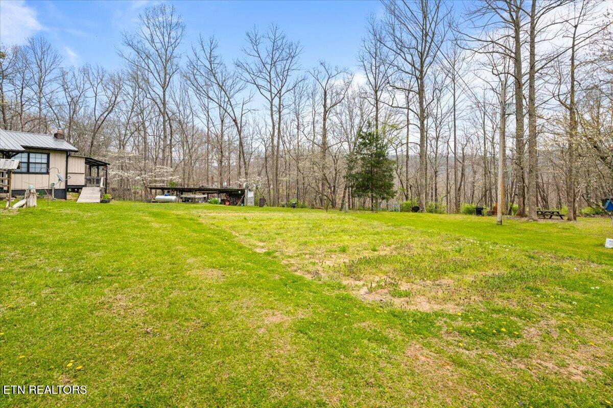439 Rogerston Road Clairfield, TN 37715 - Photo 2 of 51 37-439 Rogerston Rd
