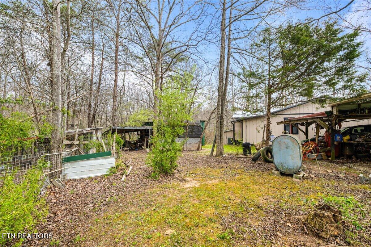 439 Rogerston Road Clairfield, TN 37715 - Photo 5 of 51 40-439 Rogerston Rd