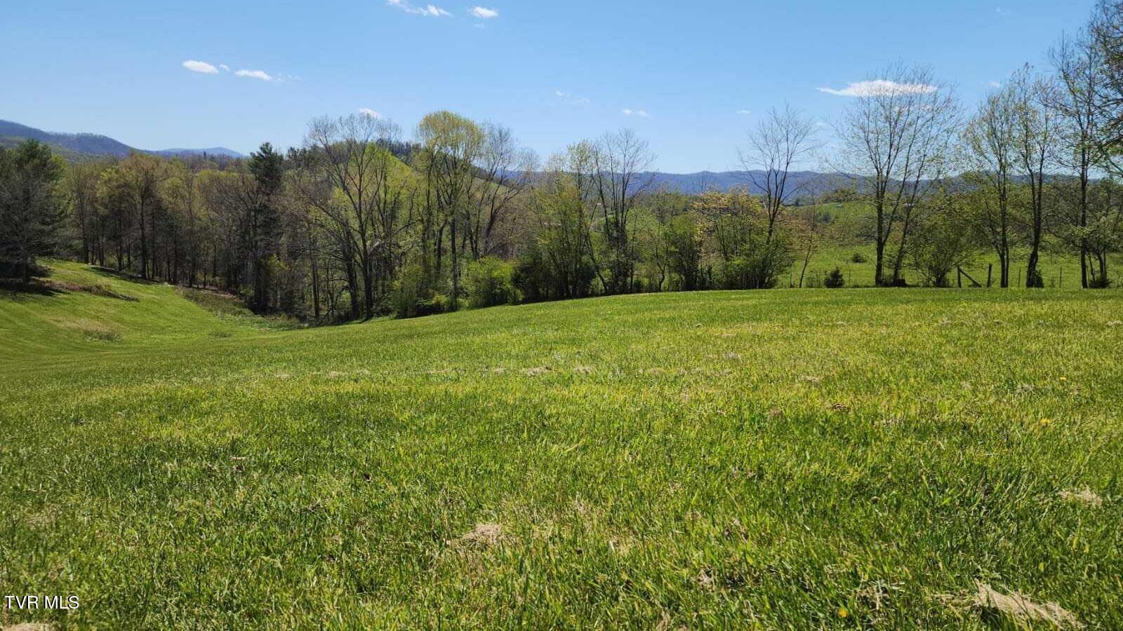 0 Dry Hill Road, Unit LOT 29 Butler, TN 37640 - Photo 10 of 11 IMG-20250416-WA0048