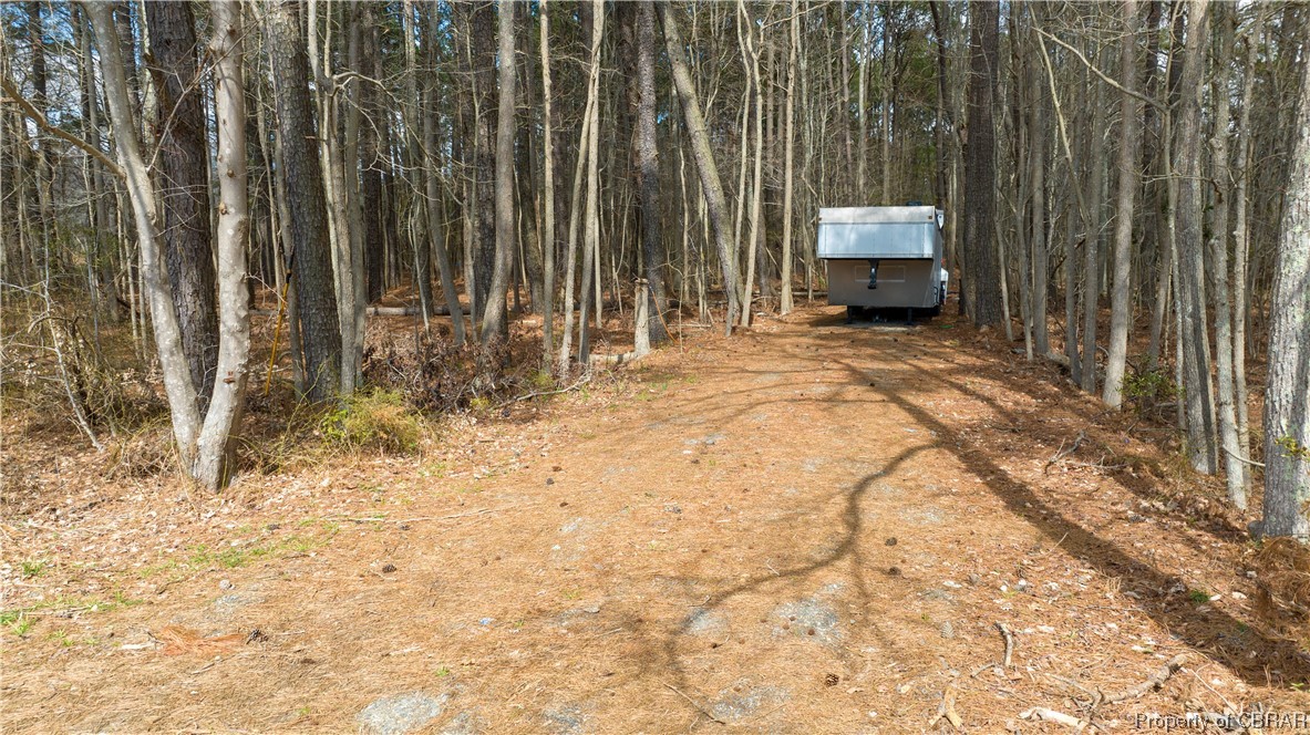 11-ac 11-ac Maryus & Line Fence Road Hayes, VA 23072 - Photo 6 of 32