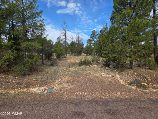 $125,000 | 3332 Sawmill Ridge Loop, Heber, AZ 85928