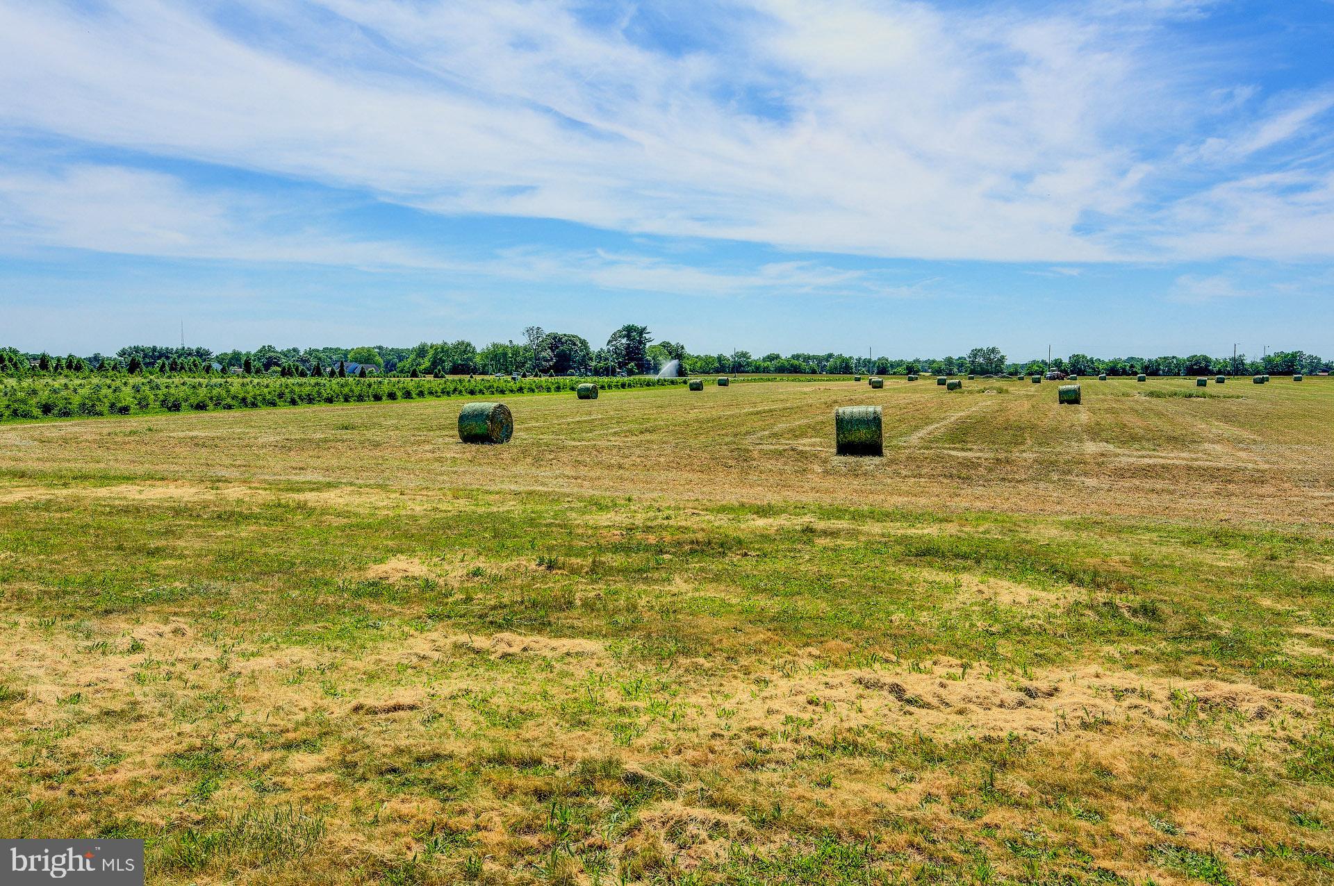 120 Richards Road Bridgeton, NJ 08302 - Photo 6 of 48 Farmland with Wheat Roll during June