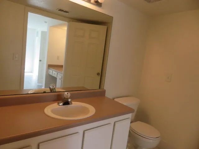 a bathroom with a sink and a toilet