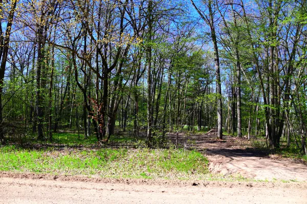 $8,500 | 40889 Penelope Loop, Browerville, MN 56438