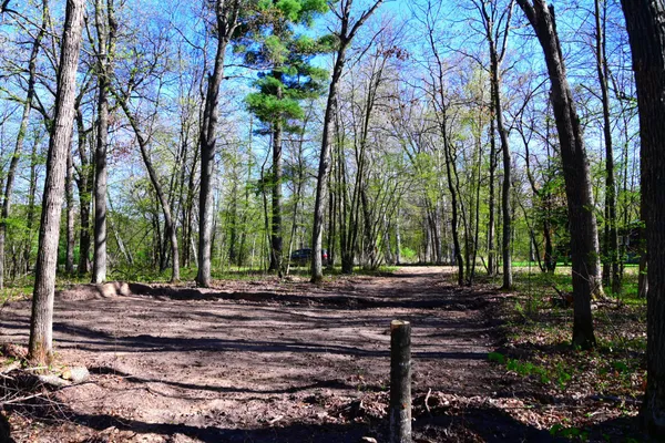 $8,500 | 40889 Penelope Loop, Browerville, MN 56438