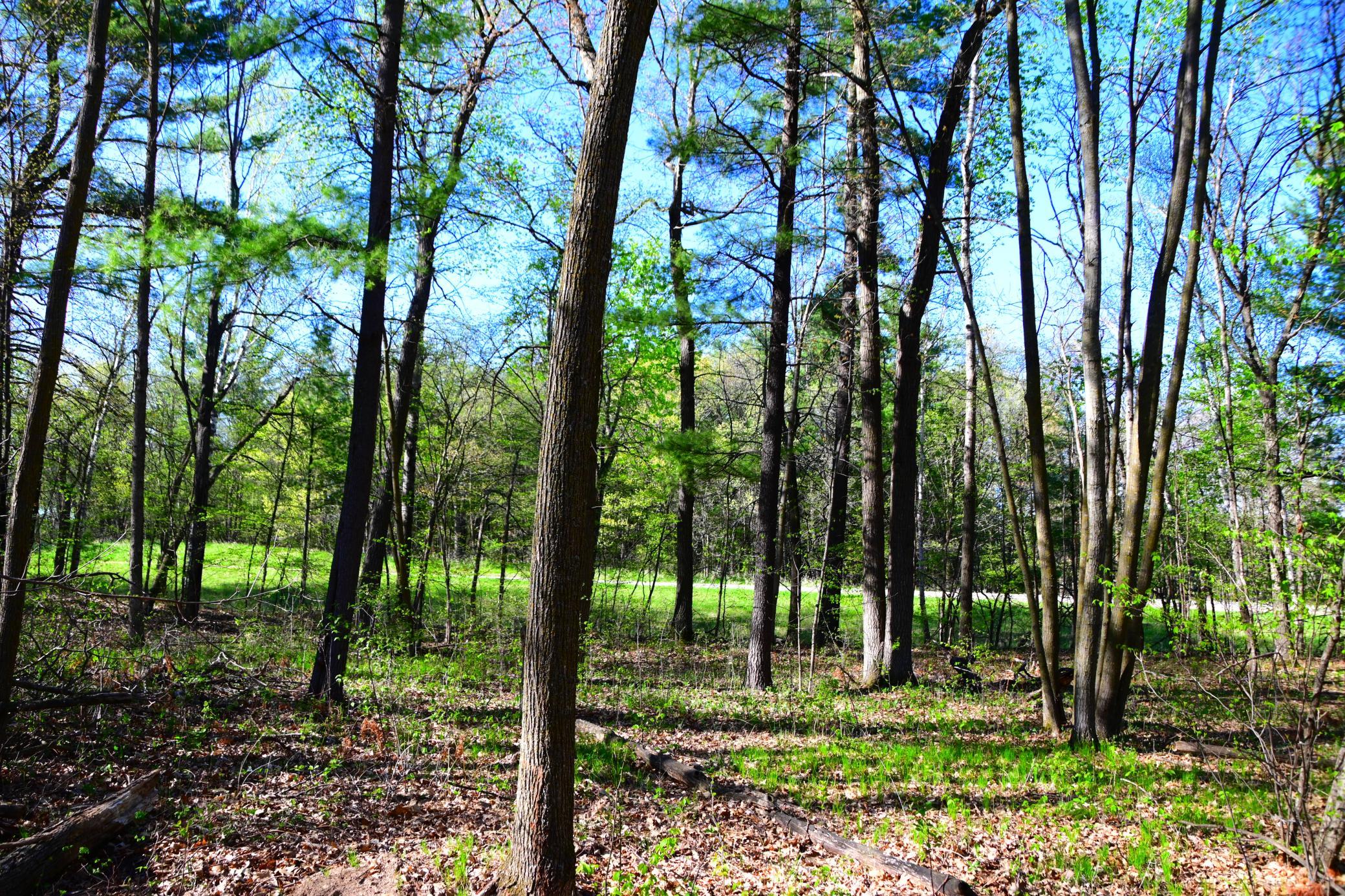 40889 Penelope Loop Browerville, MN 56438 - Photo 15 of 30