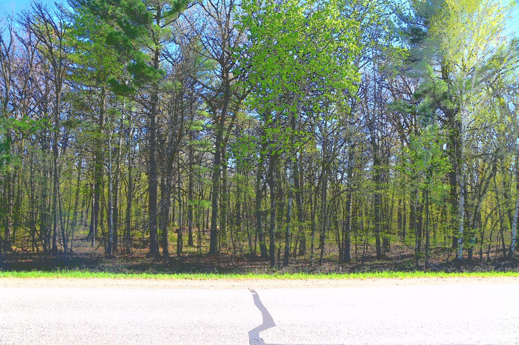 40889 Penelope Loop Browerville, MN 56438 - Photo 18 of 30