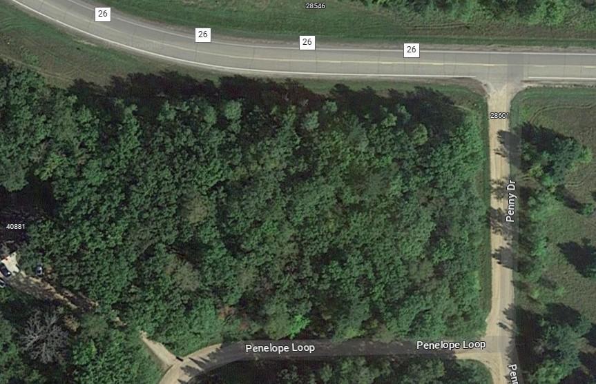 40889 Penelope Loop Browerville, MN 56438 - Photo 20 of 30