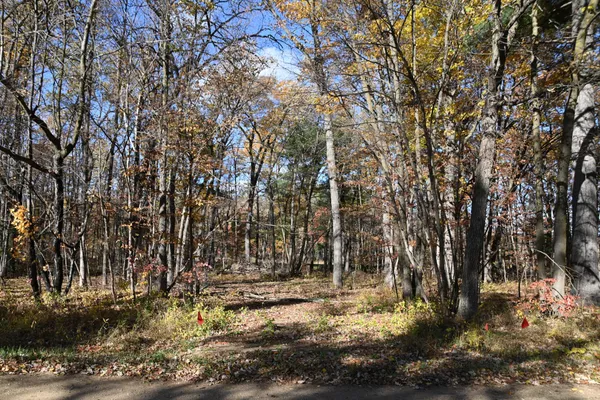 $8,500 | 40889 Penelope Loop, Browerville, MN 56438