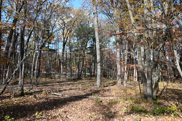 $8,500 | 40889 Penelope Loop, Browerville, MN 56438
