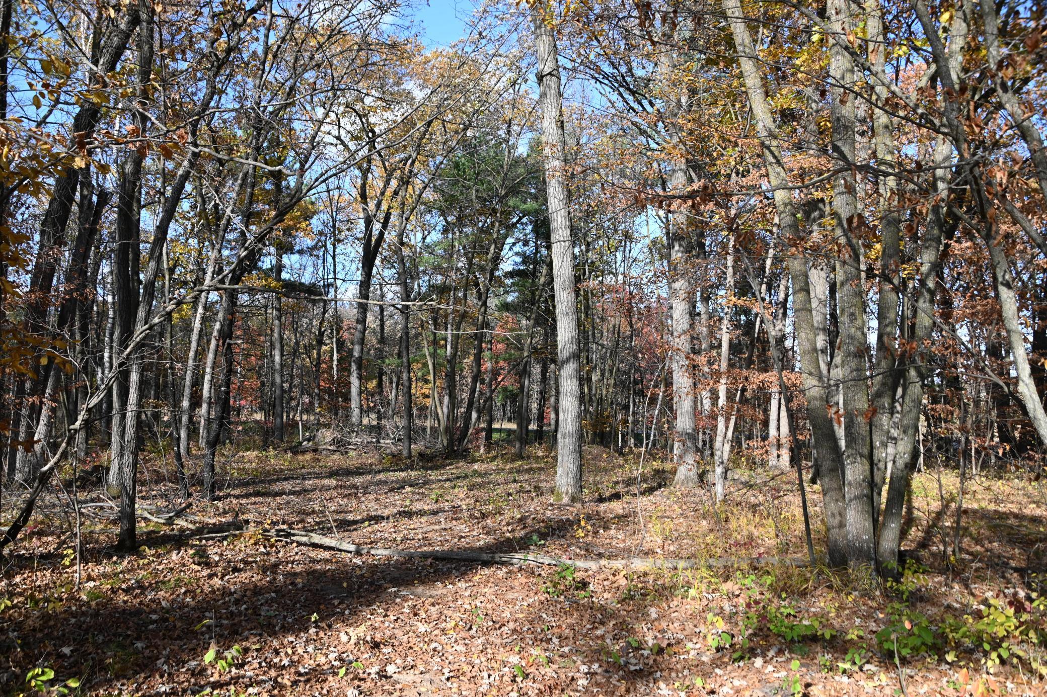 40889 Penelope Loop Browerville, MN 56438 - Photo 4 of 30