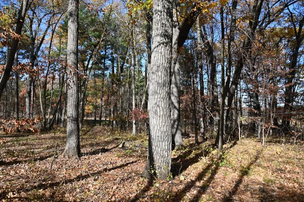 $8,500 | 40889 Penelope Loop, Browerville, MN 56438