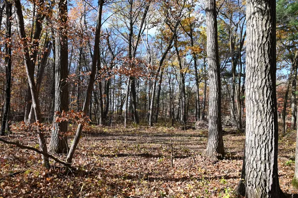 $8,500 | 40889 Penelope Loop, Browerville, MN 56438