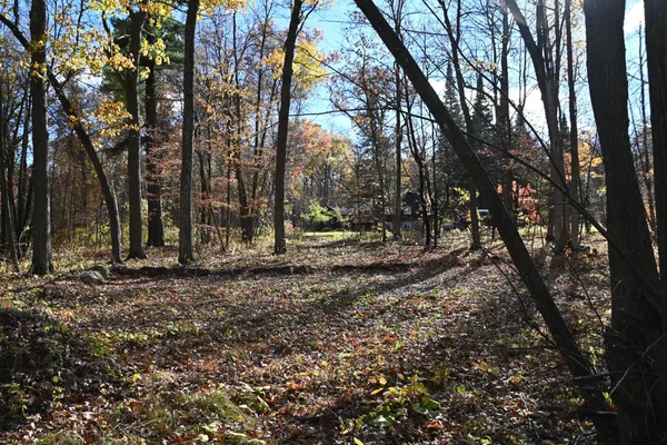 $8,500 | 40889 Penelope Loop, Browerville, MN 56438