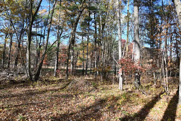 $8,500 | 40889 Penelope Loop, Browerville, MN 56438