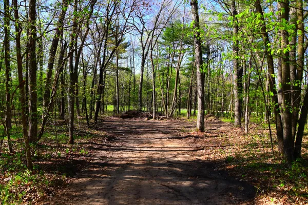 $8,500 | 40889 Penelope Loop, Browerville, MN 56438