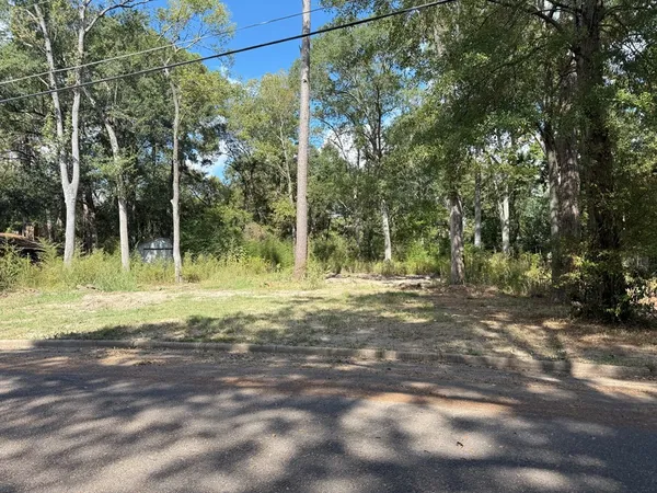 a view of a park with large trees