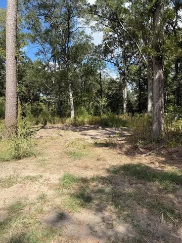 a view of a yard with a tree