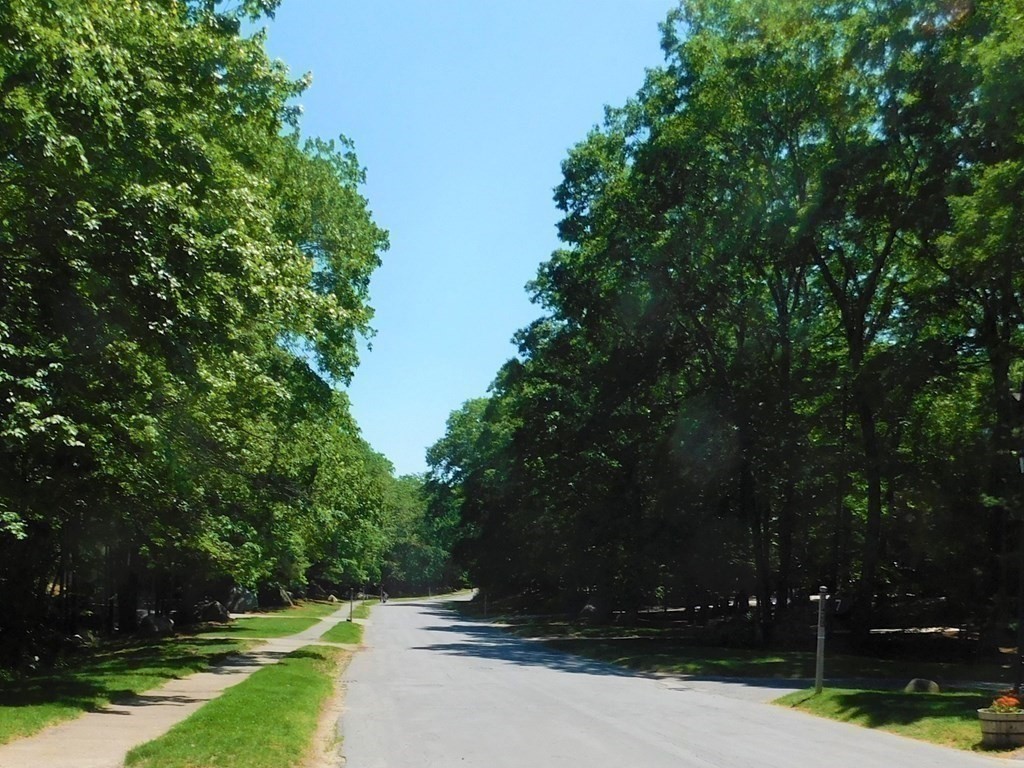 80 Mountain Gate Road, Unit 80 Ashland, MA 01721 - Photo 40 of 42 a view of backyard with green space