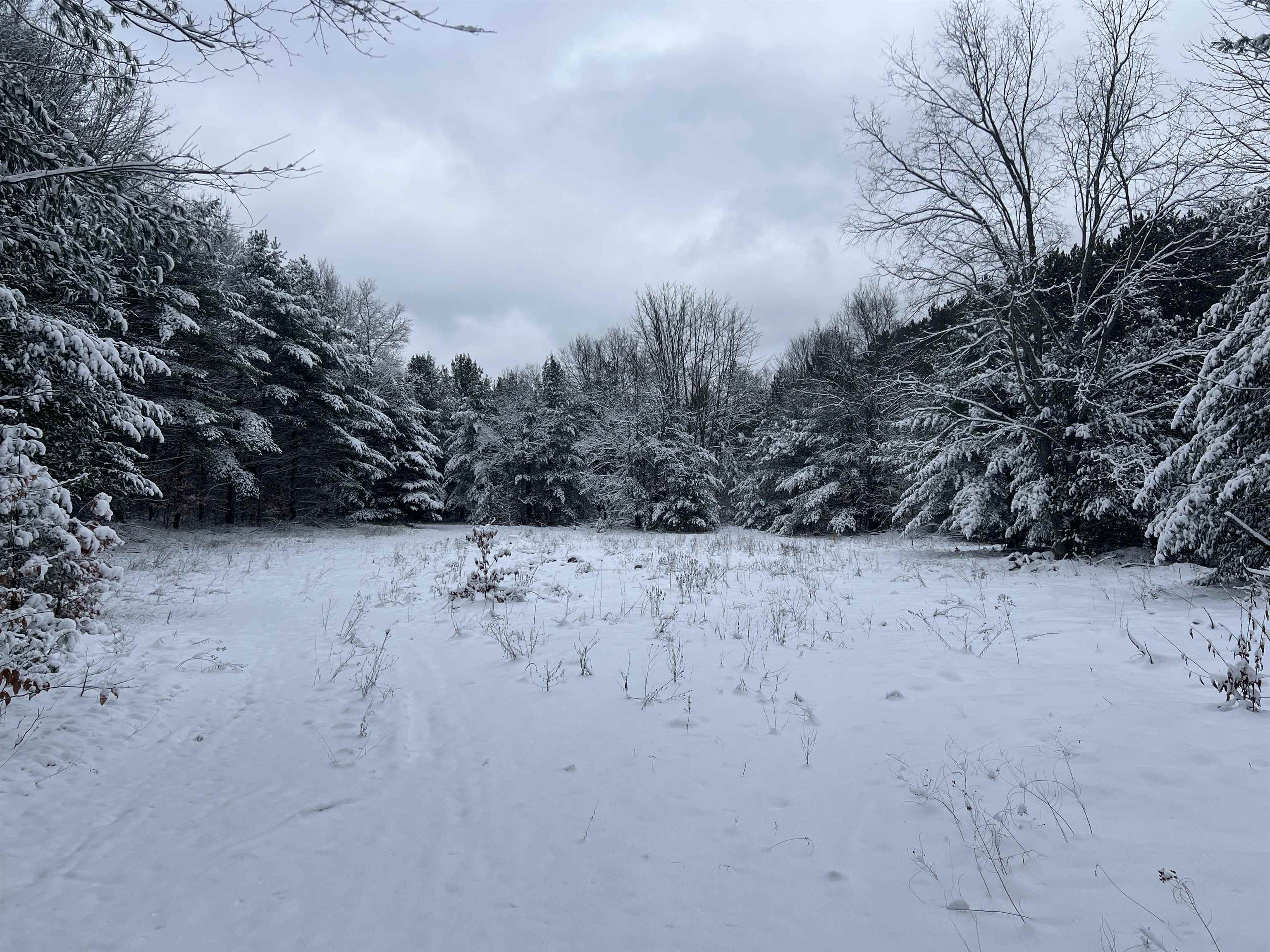 9919 Nichols Road Cadillac, MI 49601 - Photo 12 of 17