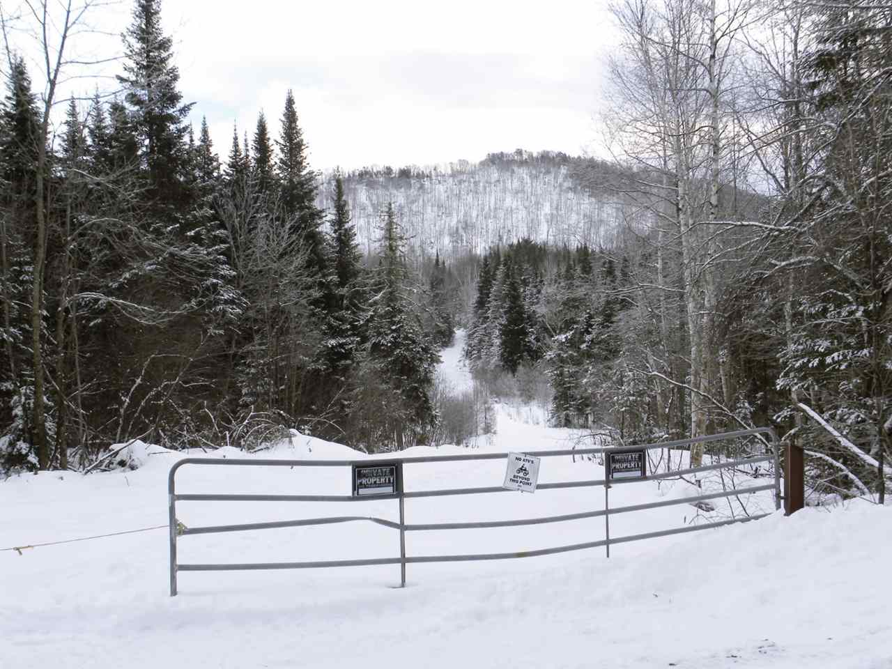 - New Duck Pond Road Sheffield, VT 05866 - Photo 1 of 26
