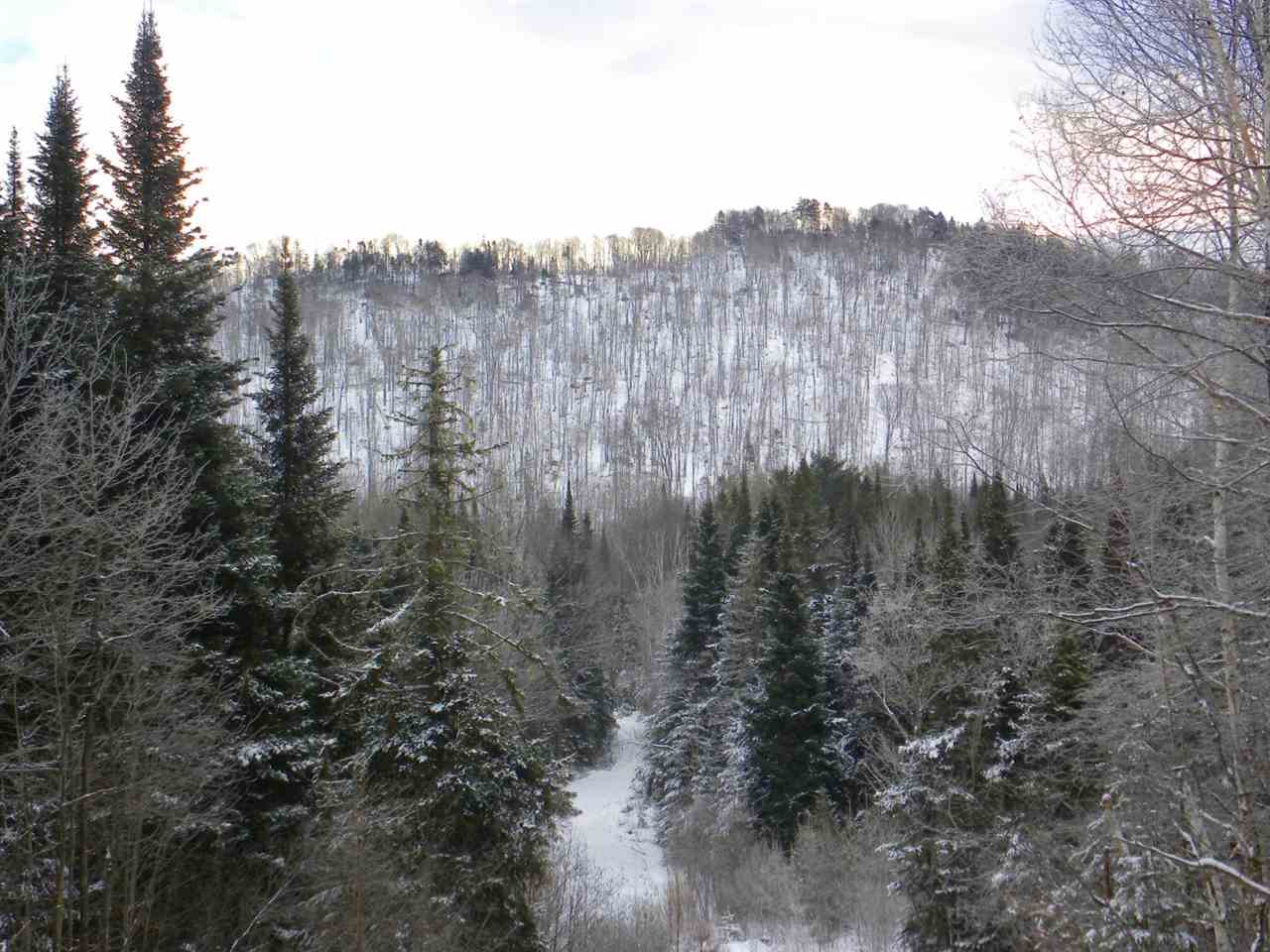 - New Duck Pond Road Sheffield, VT 05866 - Photo 2 of 26