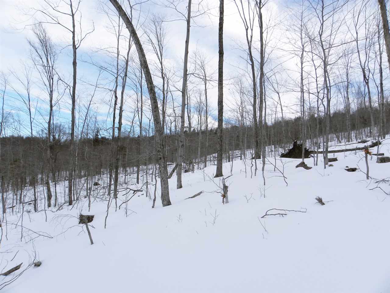 - New Duck Pond Road Sheffield, VT 05866 - Photo 11 of 26