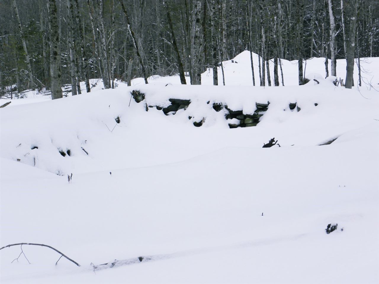 - New Duck Pond Road Sheffield, VT 05866 - Photo 13 of 26