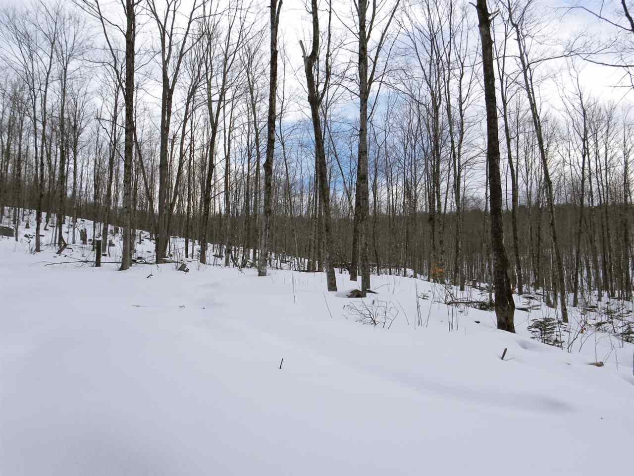 - New Duck Pond Road Sheffield, VT 05866 - Photo 14 of 26