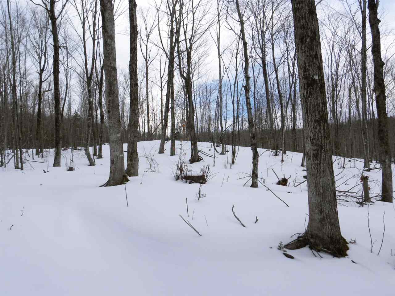 - New Duck Pond Road Sheffield, VT 05866 - Photo 15 of 26