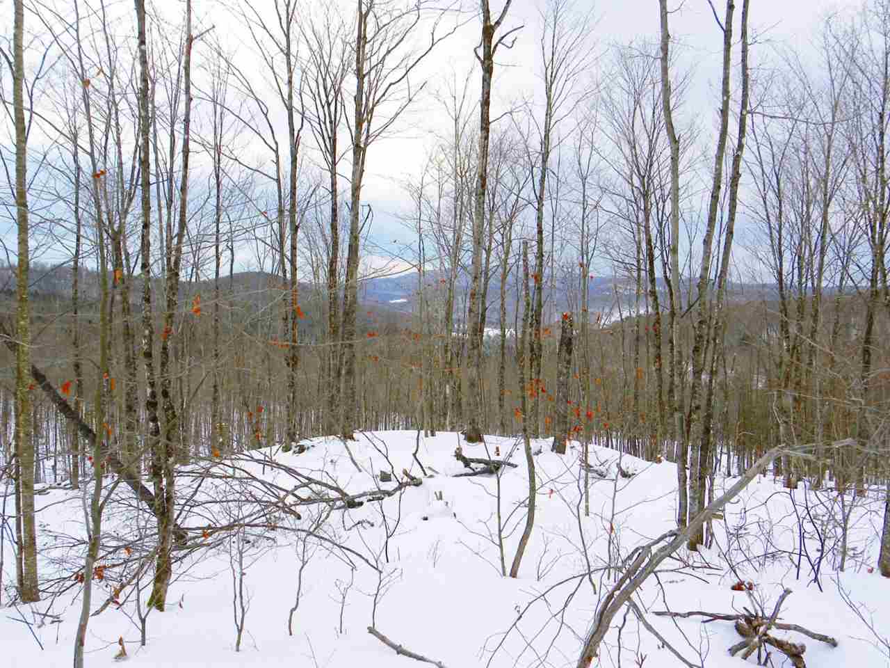 - New Duck Pond Road Sheffield, VT 05866 - Photo 17 of 26