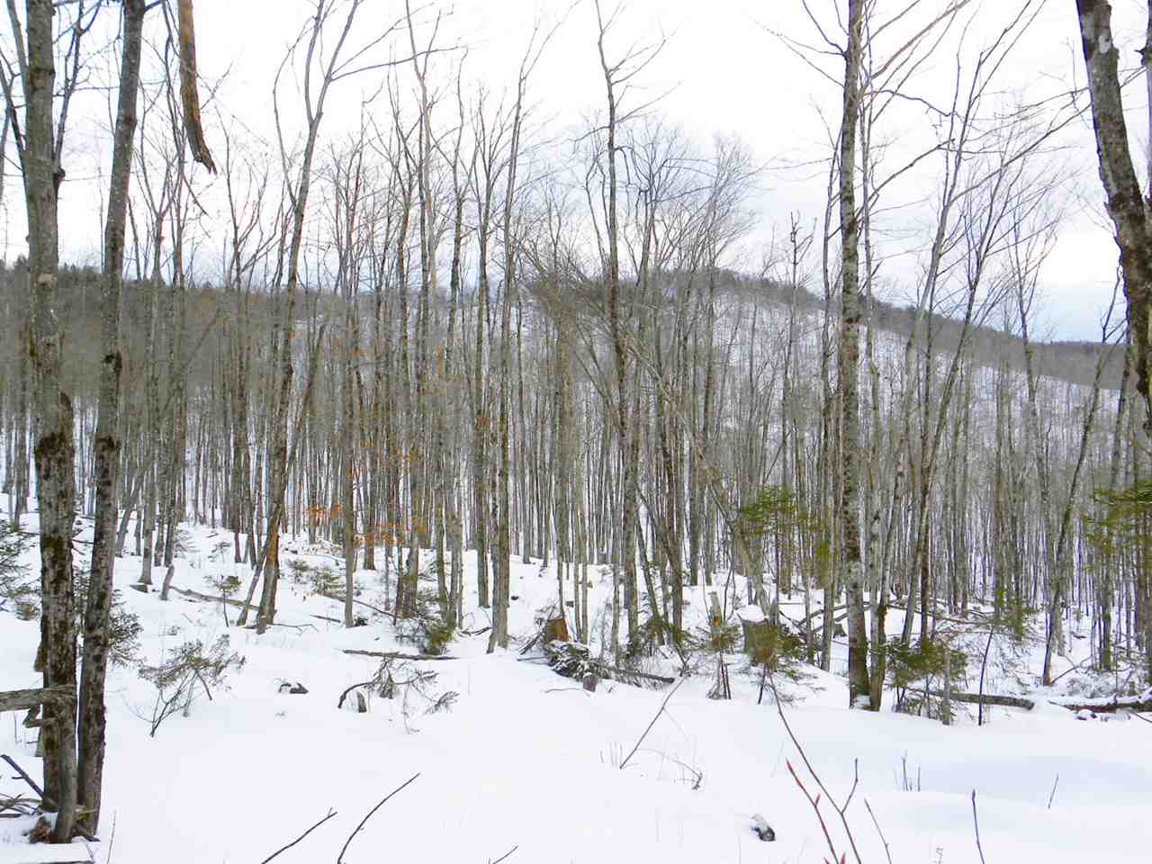 - New Duck Pond Road Sheffield, VT 05866 - Photo 18 of 26