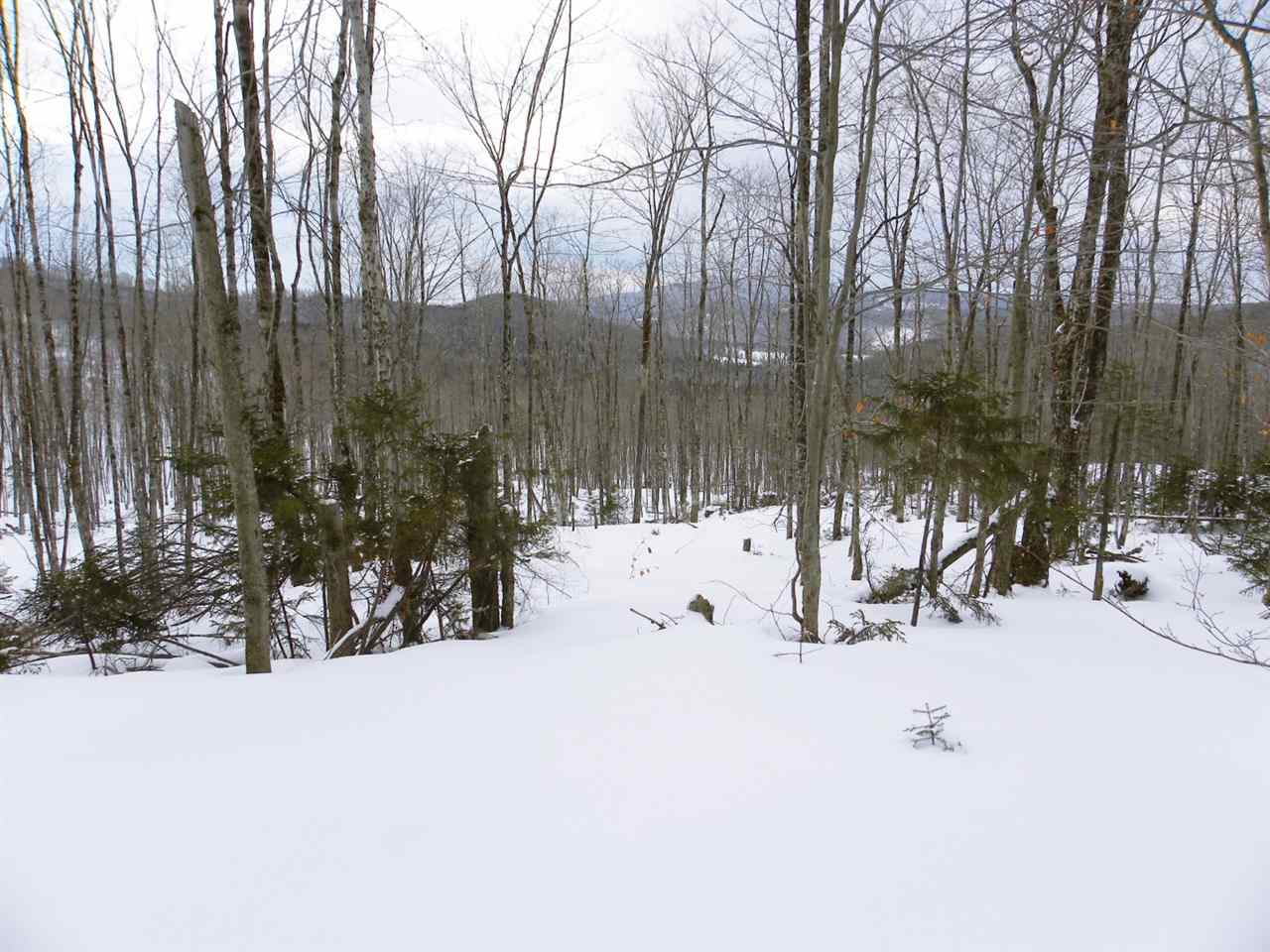 - New Duck Pond Road Sheffield, VT 05866 - Photo 19 of 26